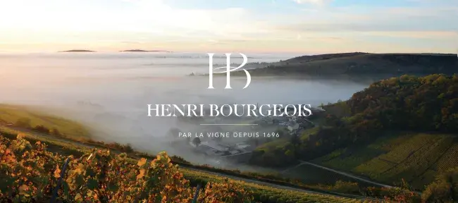 Henri Bourgeois Webslide